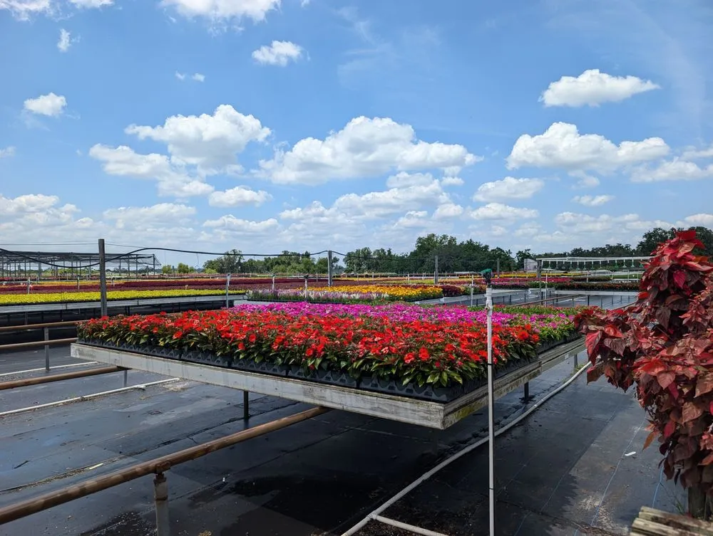 Reliable garden landscaping near you in Windermere, FL by Southern Lakes Landscape