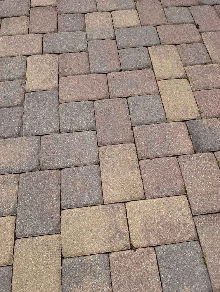 Custom landscape installation experts serving Windermere, FL - Southern Lakes Landscape