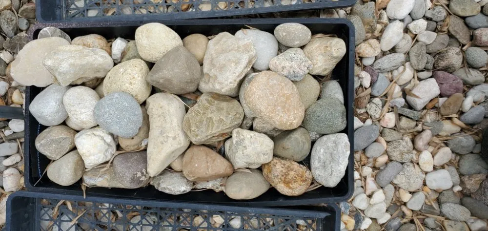 Expert landscaping services experts serving Windermere, FL - Southern Lakes Landscape