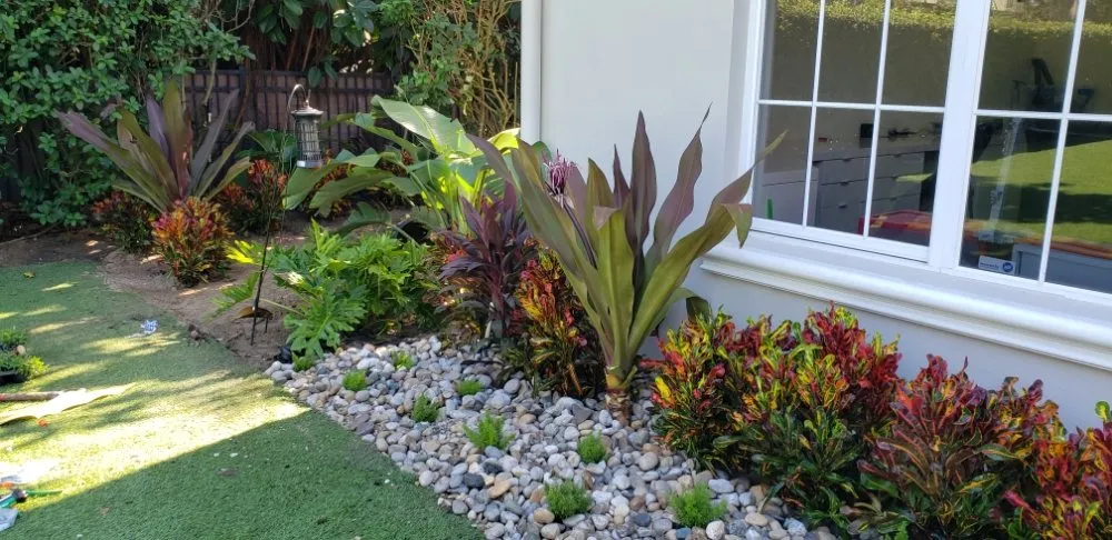 Top-rated yard cleanup service near you across Windermere, FL - Southern Lakes Landscape