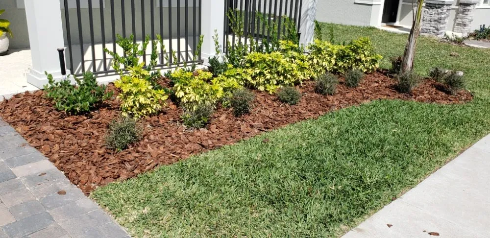 Trusted lawn care service near you in Windermere, FL by Southern Lakes Landscape