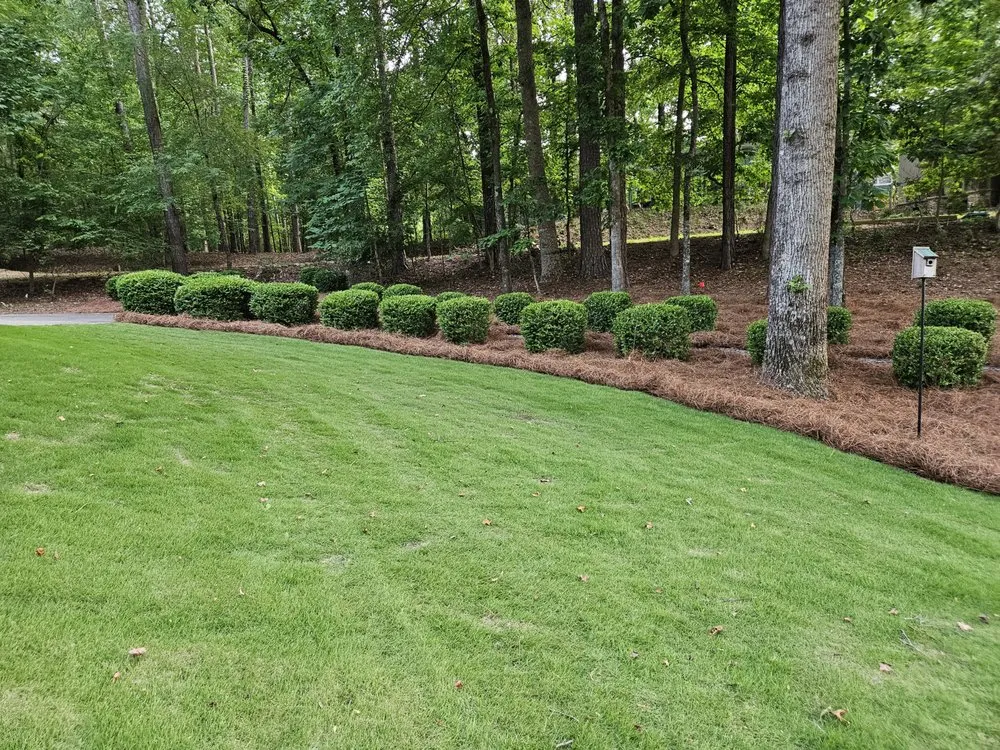 Top-rated landscape installation in Opelika, AL - Southern Lakes Lawn Sculpting