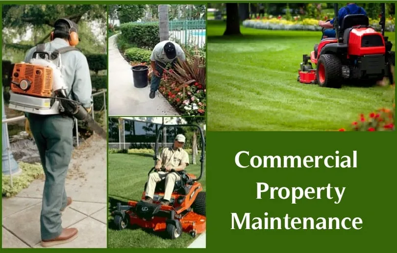 Top-rated lawn mowing service for homes across Charlotte, NC - Southern Land & Turf