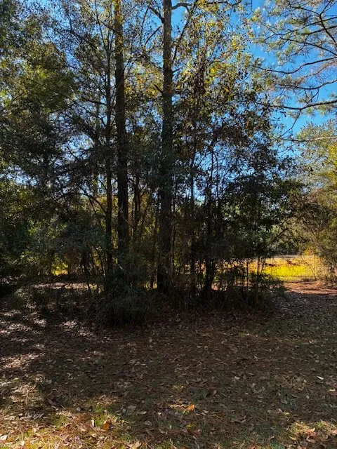 Top-rated lawn mowing service with custom design across Fairhope, AL - Southern Land and Brush