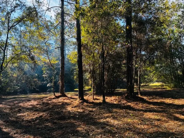 Top-rated outdoor landscaping for year-round maintenance in Fairhope, AL by Southern Land and Brush