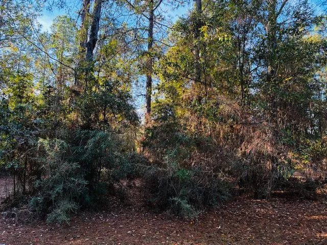 Local residential landscaping for year-round maintenance in Fairhope, AL by Southern Land and Brush