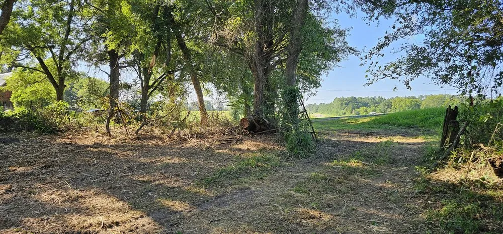 Expert yard maintenance for outdoor upgrades across Tyler, TX - Southern Land Clearing Services