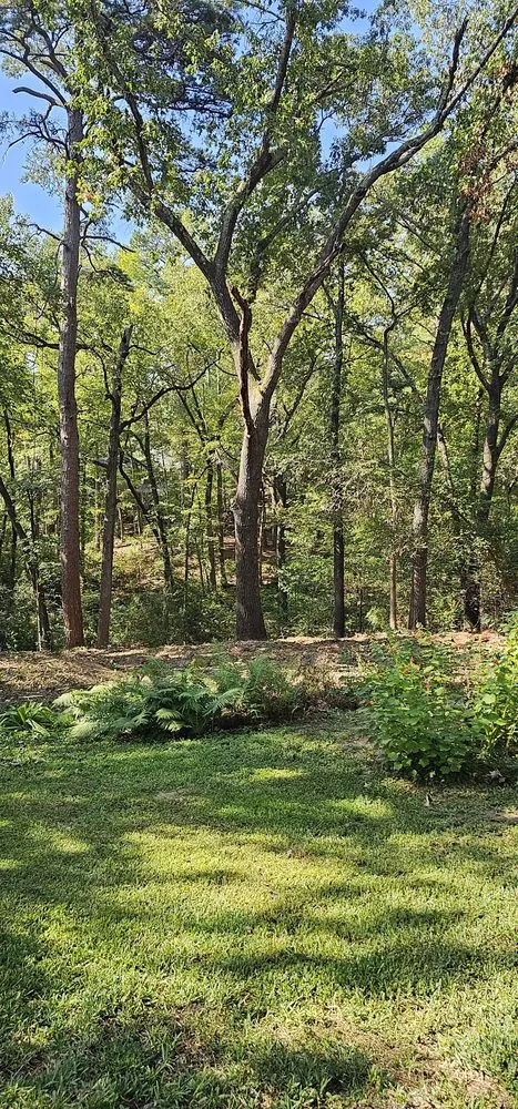 Top-rated yard maintenance with custom design across Tyler, TX - Southern Land Clearing Services