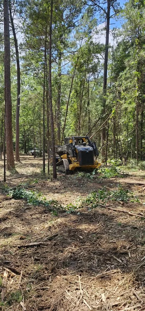 Professional lawn care service in Tyler, TX - Southern Land Clearing Services