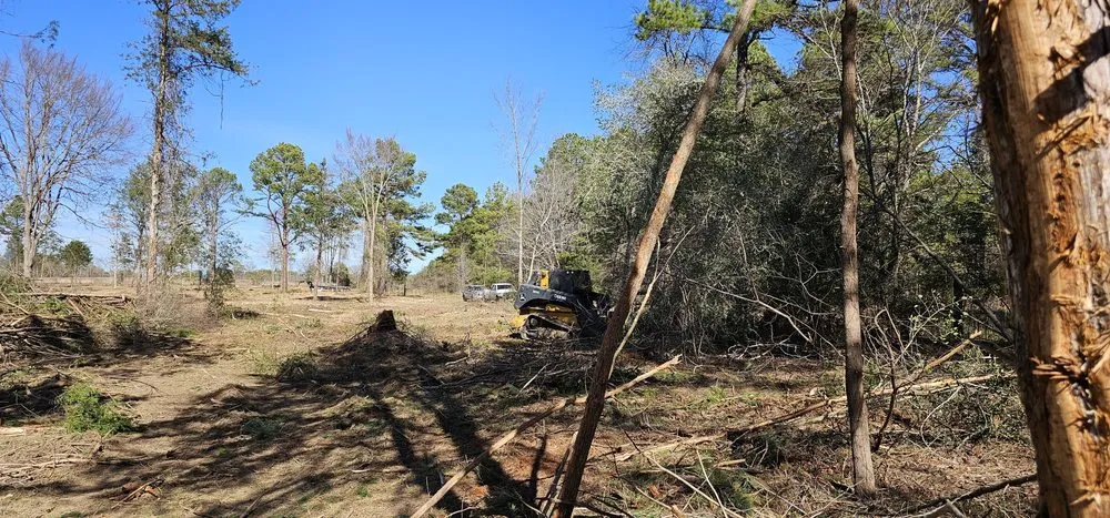Top-rated landscape design with custom design across Tyler, TX - Southern Land Clearing Services