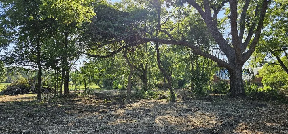 Custom lawn care service in Tyler, TX - Southern Land Clearing Services