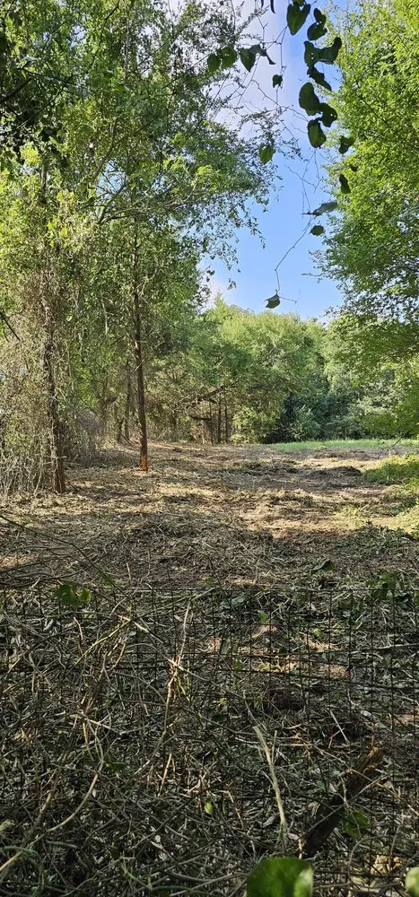 Trusted lawn care service in Tyler, TX - Southern Land Clearing Services