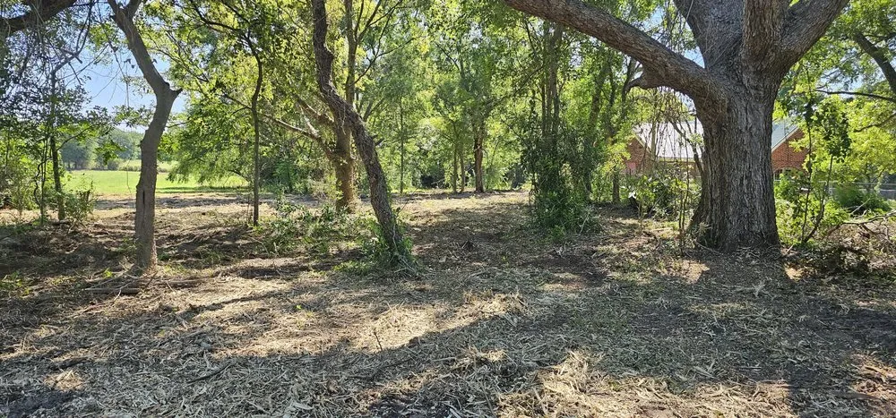 Local landscape installation for beautiful yards across Tyler, TX - Southern Land Clearing Services