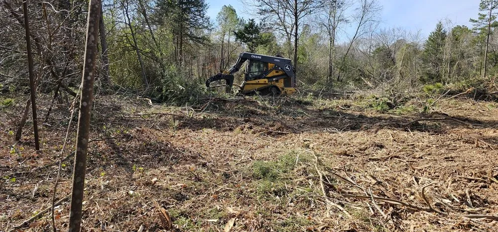 Custom yard maintenance experts serving Tyler, TX - Southern Land Clearing Services