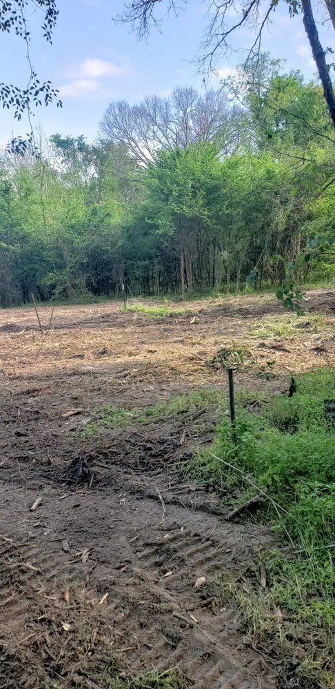 Affordable lawn care service experts serving Tyler, TX - Southern Land Clearing Services