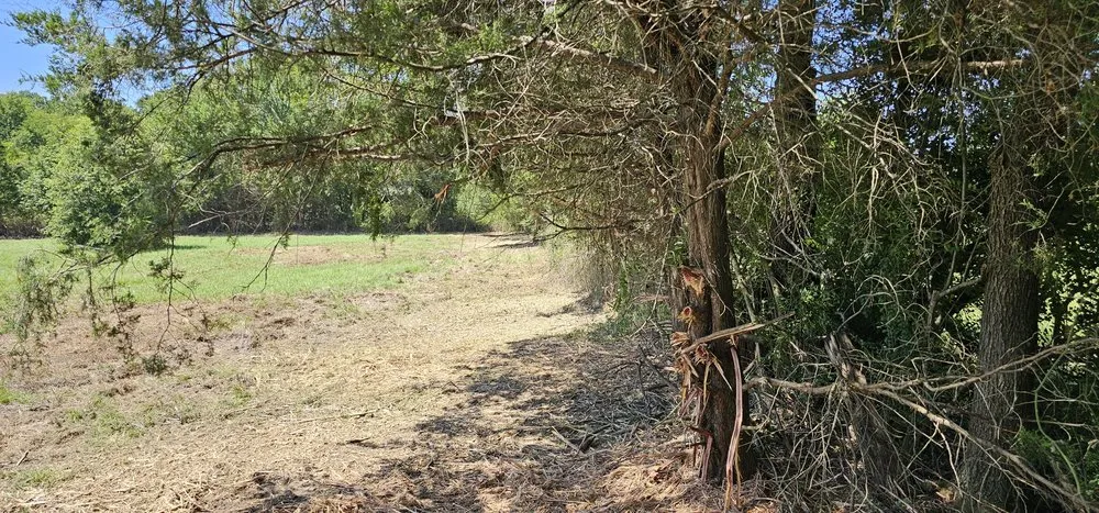 Affordable yard maintenance for residential properties in Tyler, TX by Southern Land Clearing Services