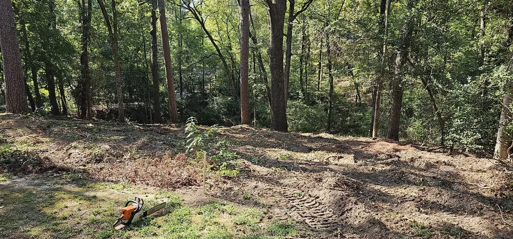 Custom landscape installation in Tyler, TX by Southern Land Clearing Services