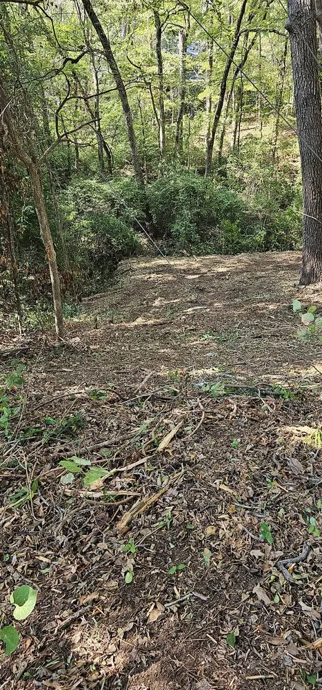 Reliable outdoor landscaping in Tyler, TX - Southern Land Clearing Services