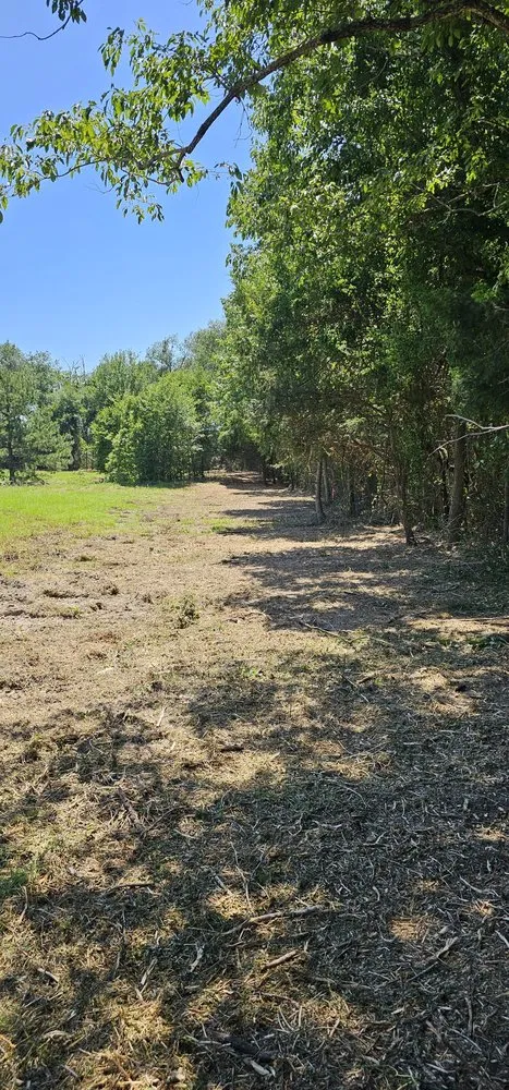 Expert yard maintenance near you across Tyler, TX - Southern Land Clearing Services