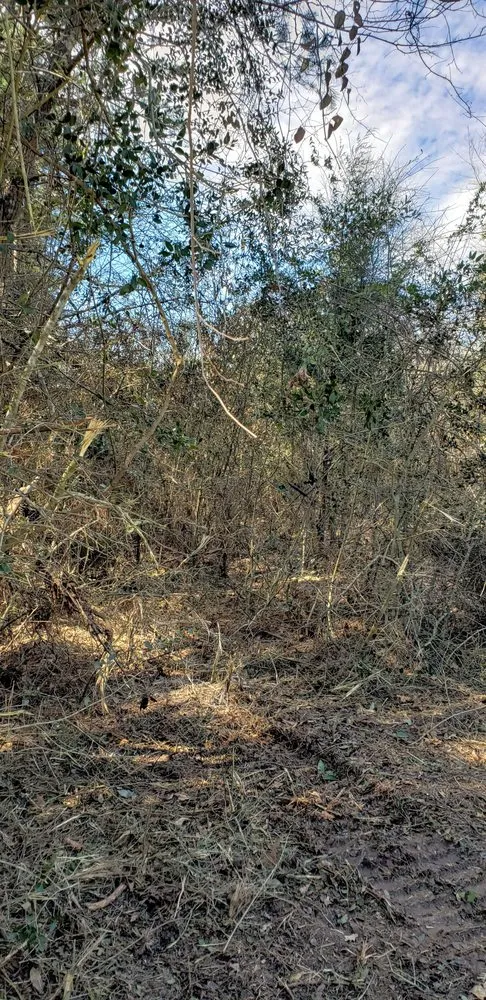 Top-rated lawn care service experts serving Tyler, TX - Southern Land Clearing Services