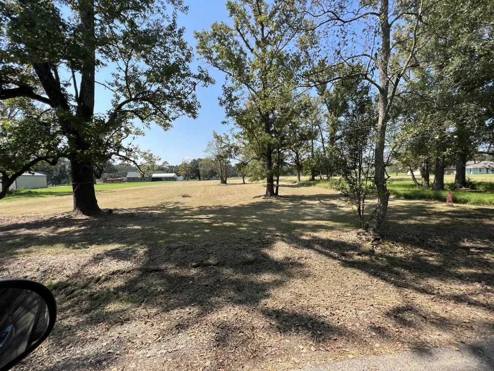 Affordable outdoor landscaping in Gonzales, LA by Southern Land Innovations