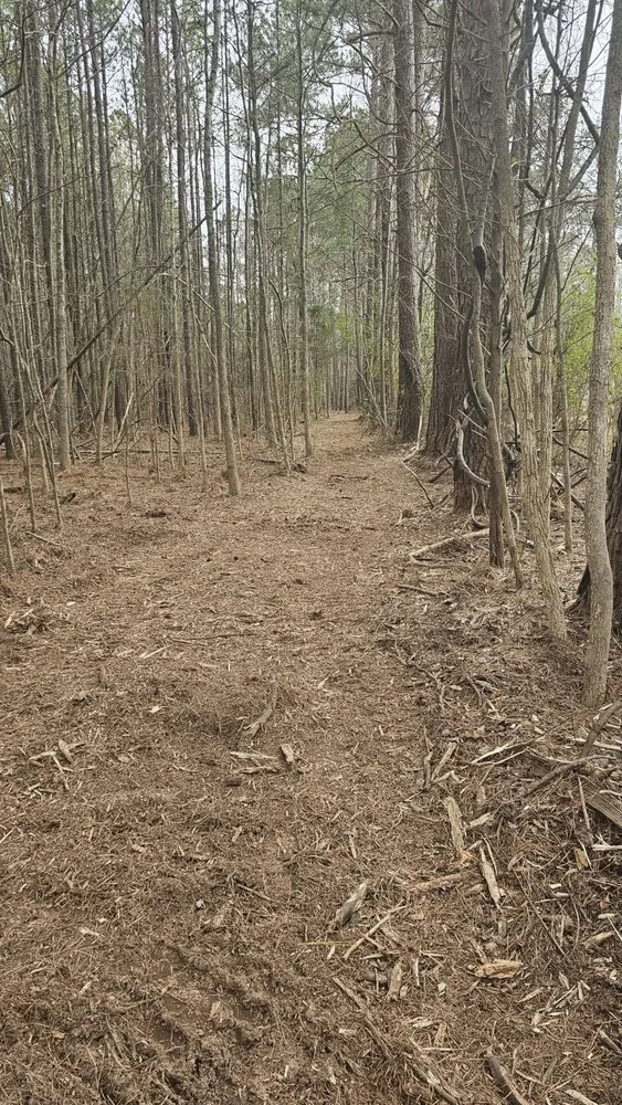 Custom yard cleanup service in Midland, GA by Southern Land Management & Mulching
