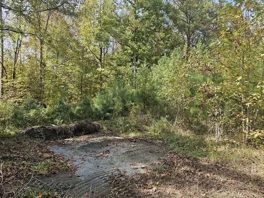 Southern Land Management & Mulching