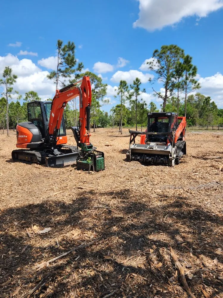 Expert yard cleanup service in Cape Coral, FL - Southern Land Management