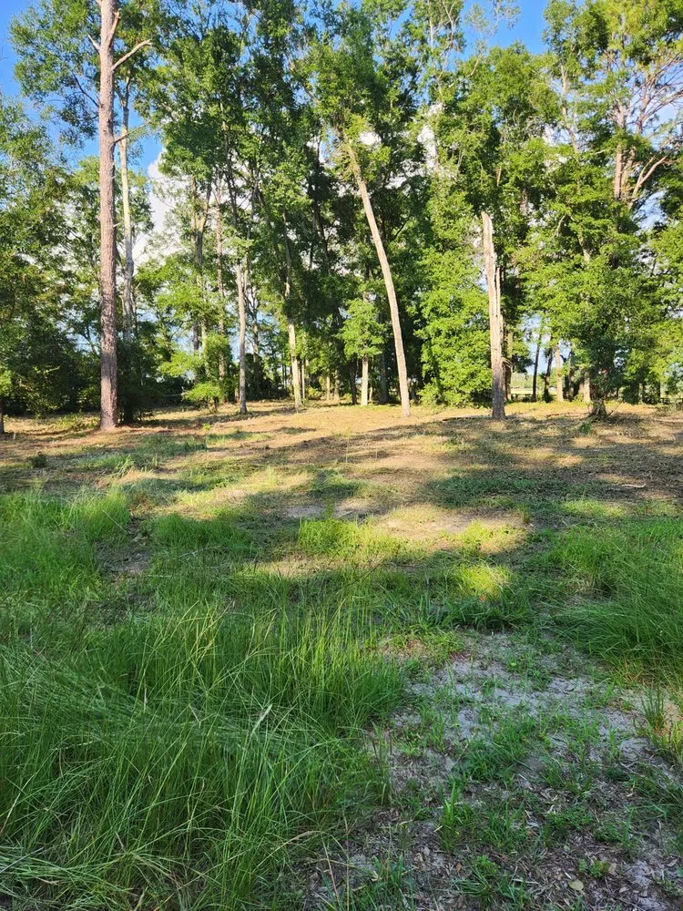 Expert outdoor landscaping in Cape Coral, FL by Southern Land Management