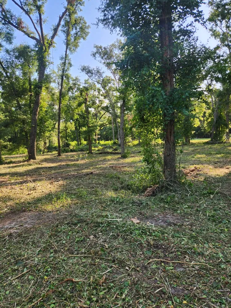 Trusted lawn care service in Cape Coral, FL - Southern Land Management