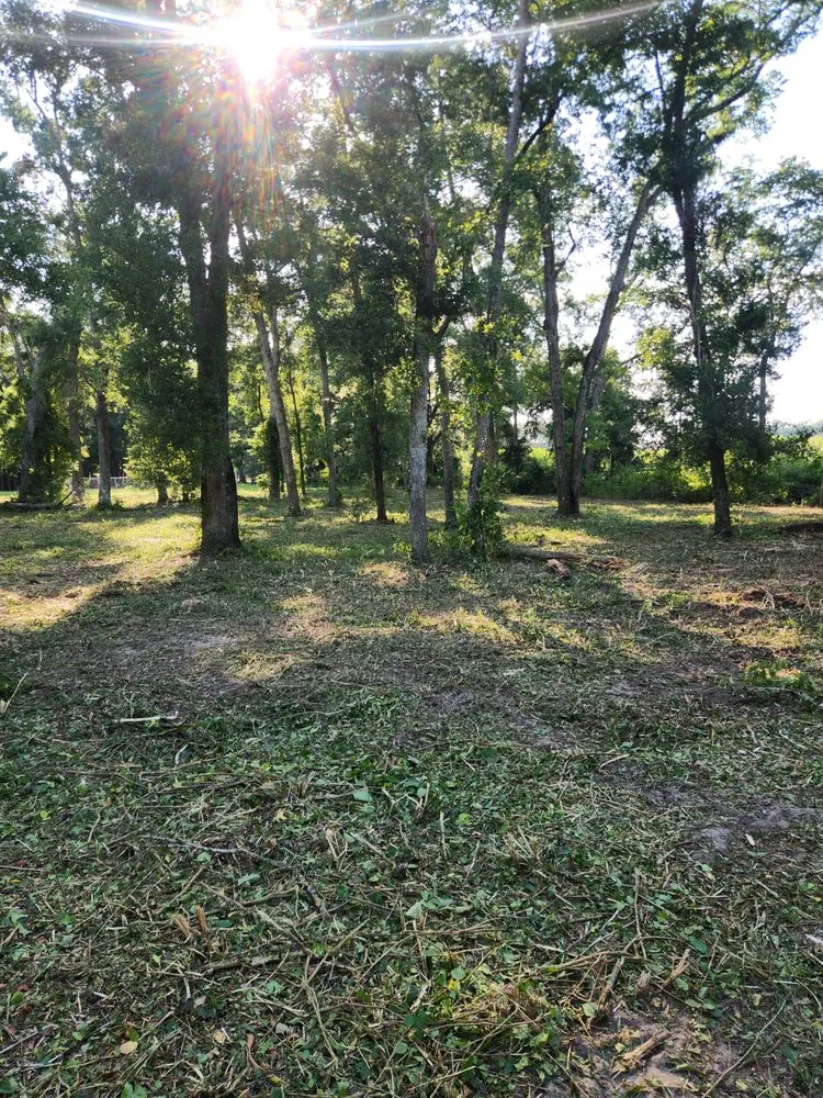 Custom outdoor landscaping with custom design in Cape Coral, FL by Southern Land Management