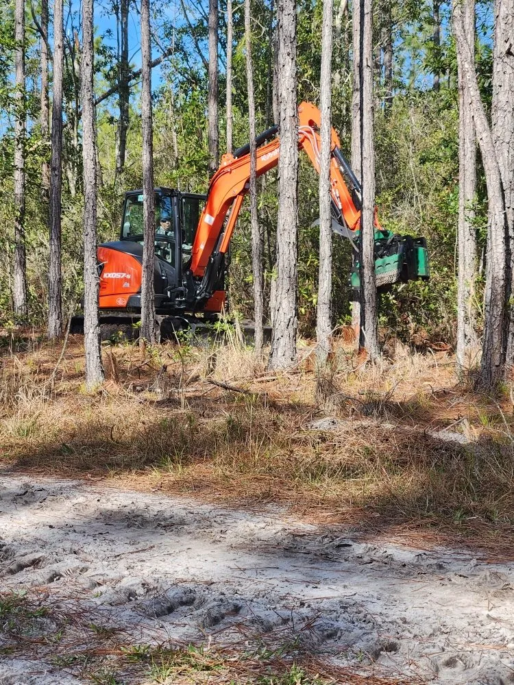 Top-rated yard cleanup service experts serving Cape Coral, FL - Southern Land Management