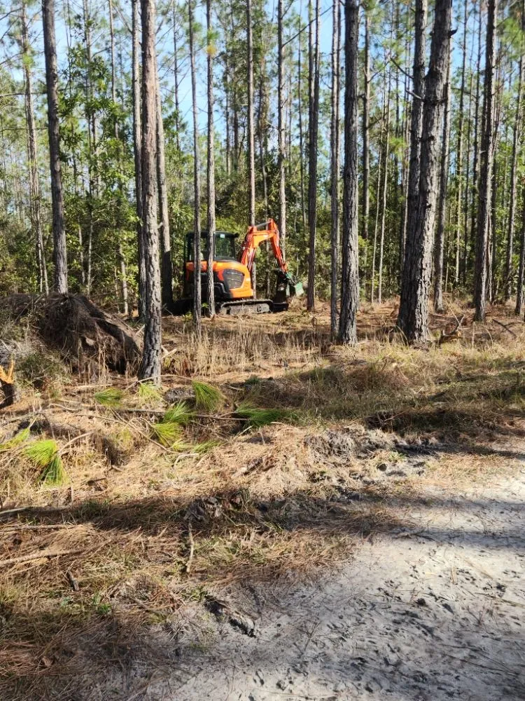 Affordable landscape installation in Cape Coral, FL - Southern Land Management