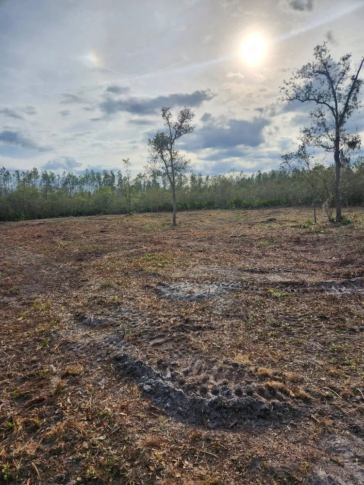 Professional lawn care service for beautiful yards in Cape Coral, FL by Southern Land Management
