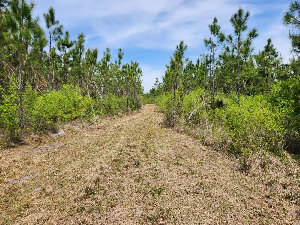Trusted lawn care service experts serving Cape Coral, FL - Southern Land Management