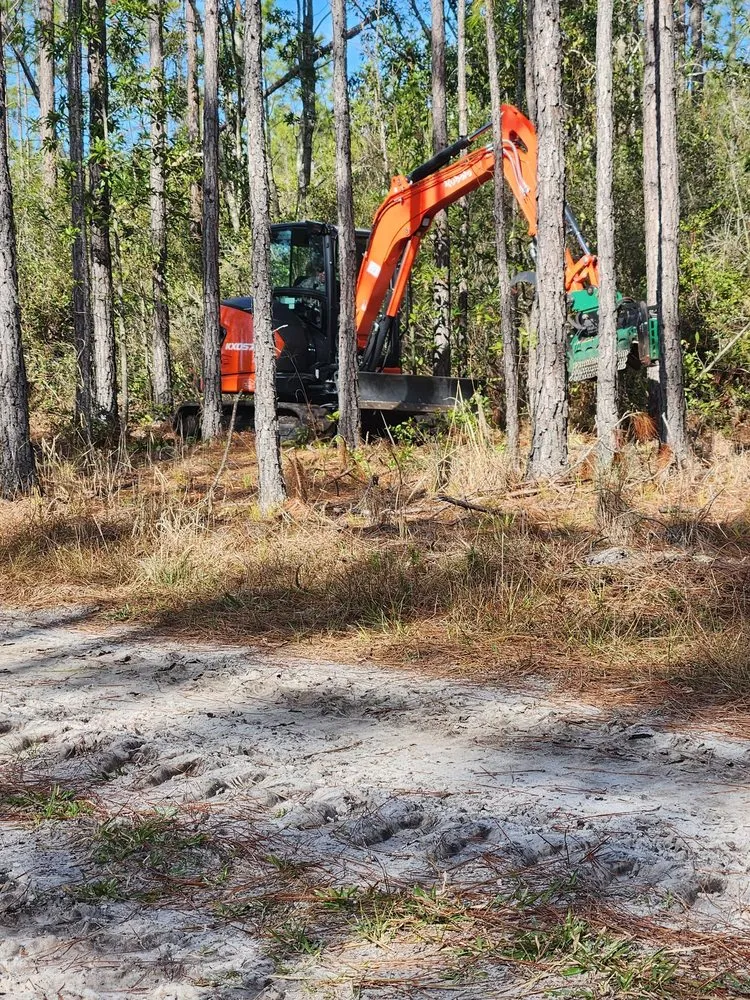 Reliable residential landscaping with custom design in Cape Coral, FL by Southern Land Management