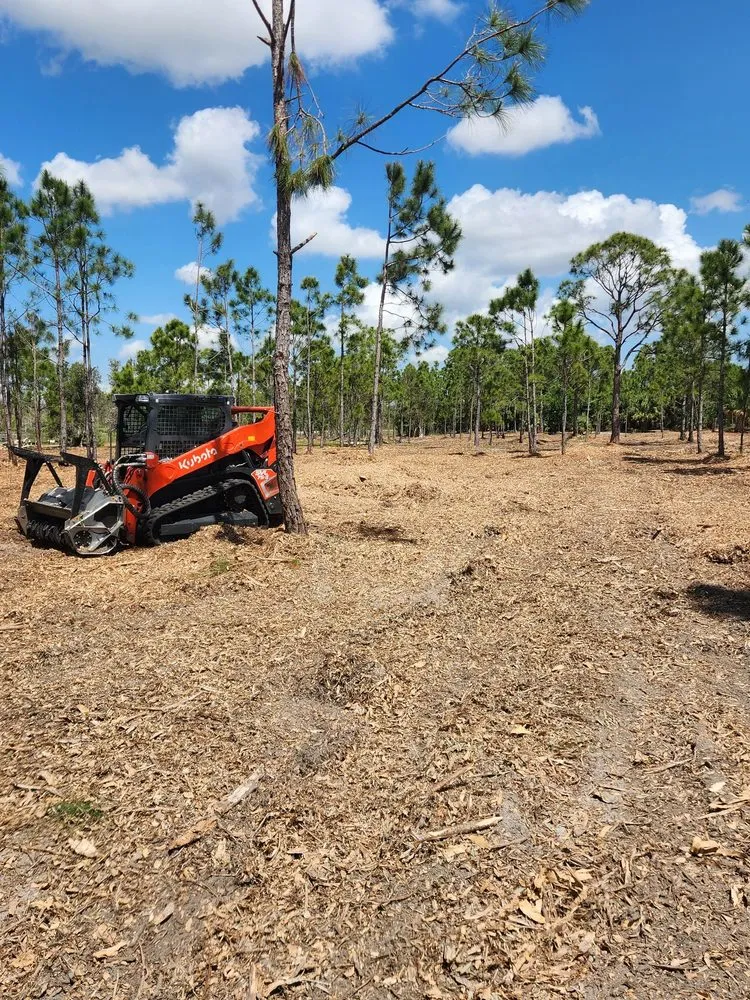 Custom yard cleanup service in Cape Coral, FL - Southern Land Management