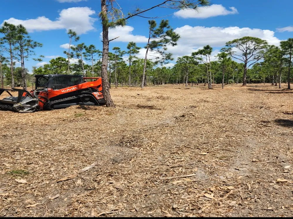 Expert outdoor landscaping with custom design in Cape Coral, FL by Southern Land Management