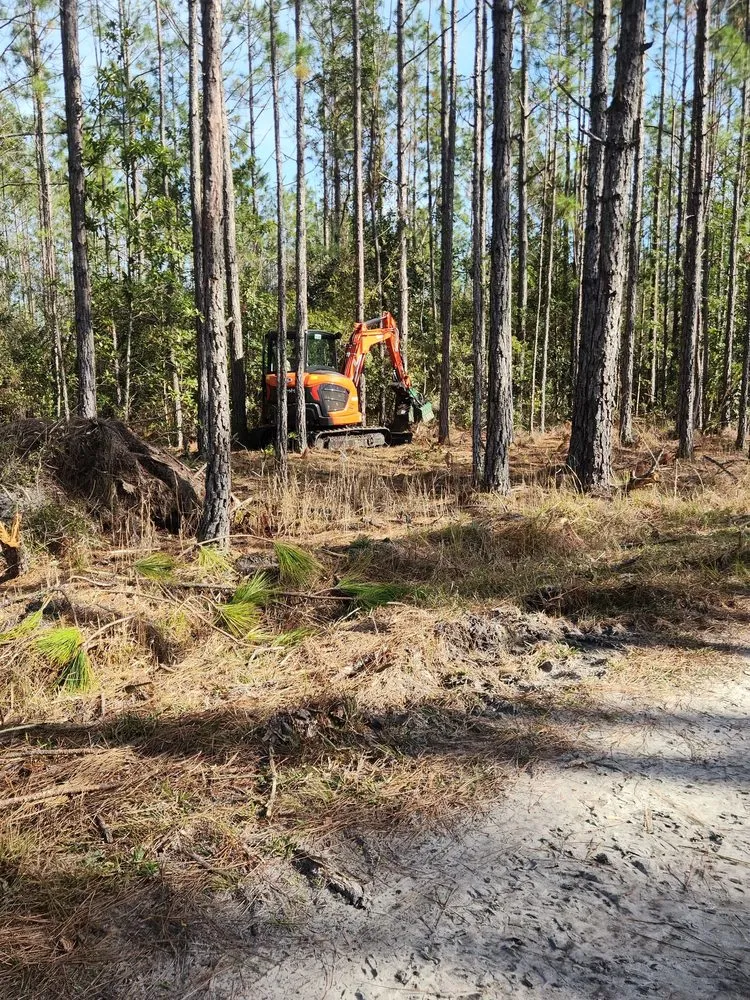 Custom landscaping services near you in Cape Coral, FL by Southern Land Management