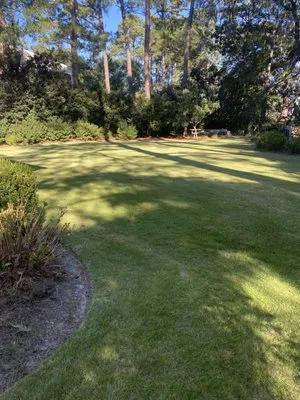 Southern Landcape Logo