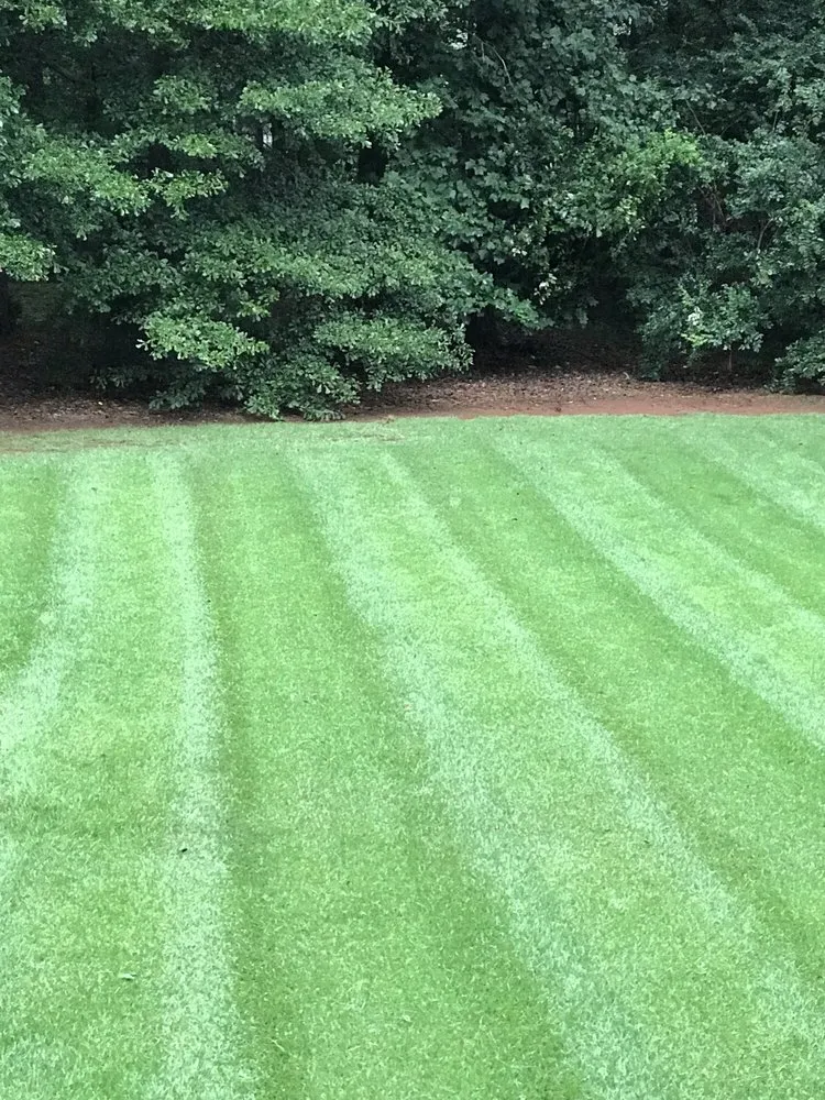 Trusted outdoor landscaping for beautiful yards in Commerce, GA by Southern Landcare by Jason Ford