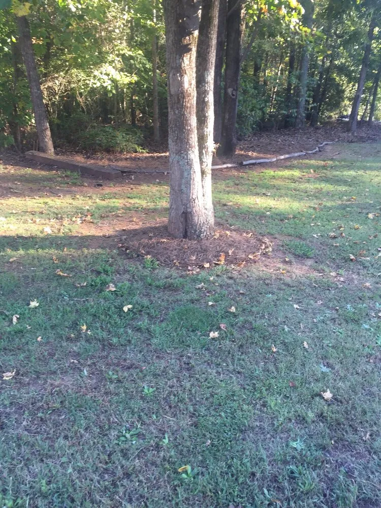 Custom lawn mowing service for year-round maintenance across Commerce, GA - Southern Landcare by Jason Ford