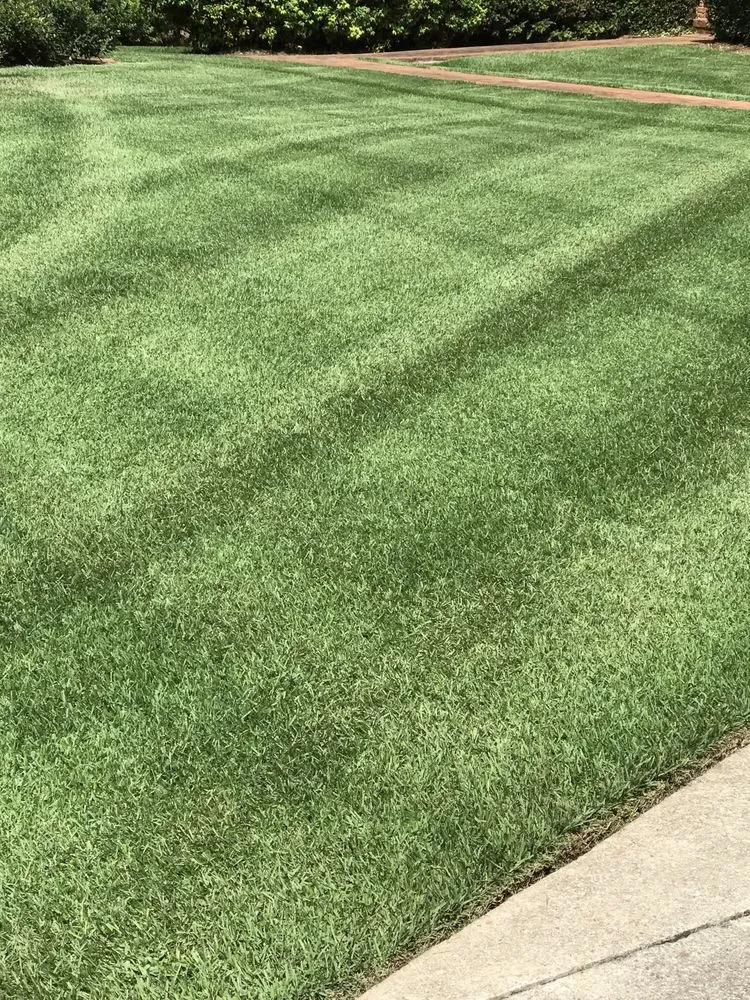 Top-rated yard maintenance for homes in Commerce, GA by Southern Landcare by Jason Ford