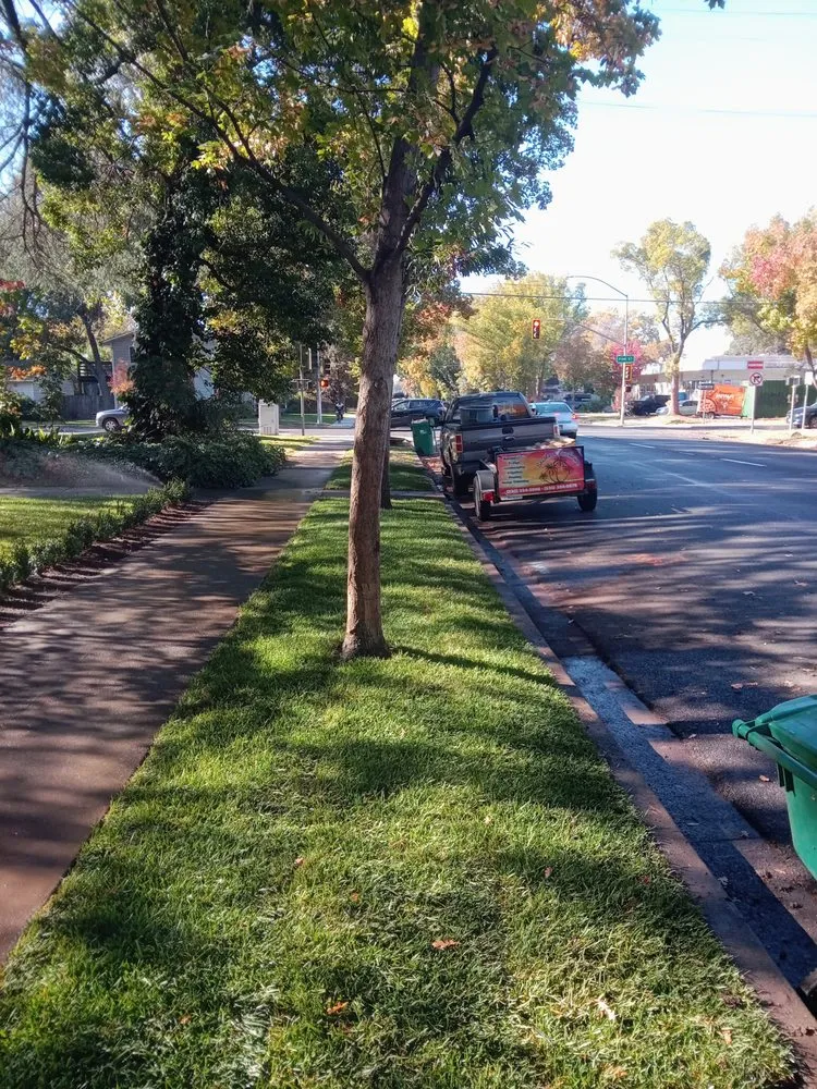 Trusted landscaping services in Chico, CA - Southern Landscape