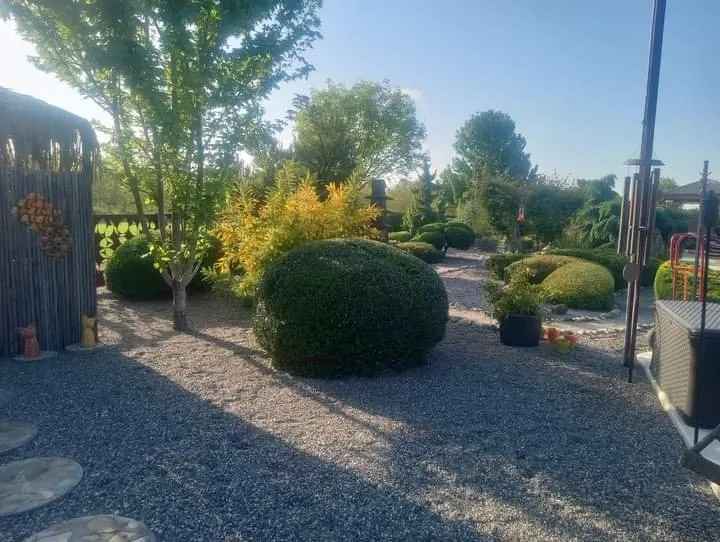 Custom landscape design in Chico, CA by Southern Landscape