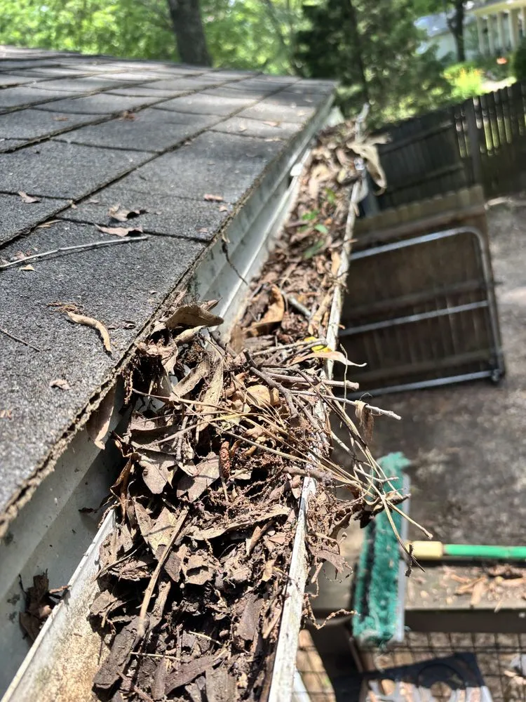 Affordable residential landscaping in Collierville, TN by Southern Landscape