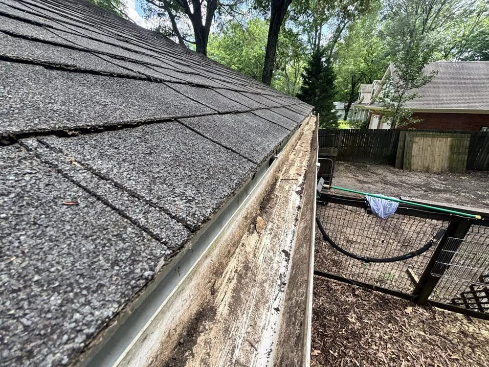 Custom garden landscaping for outdoor upgrades in Collierville, TN by Southern Landscape