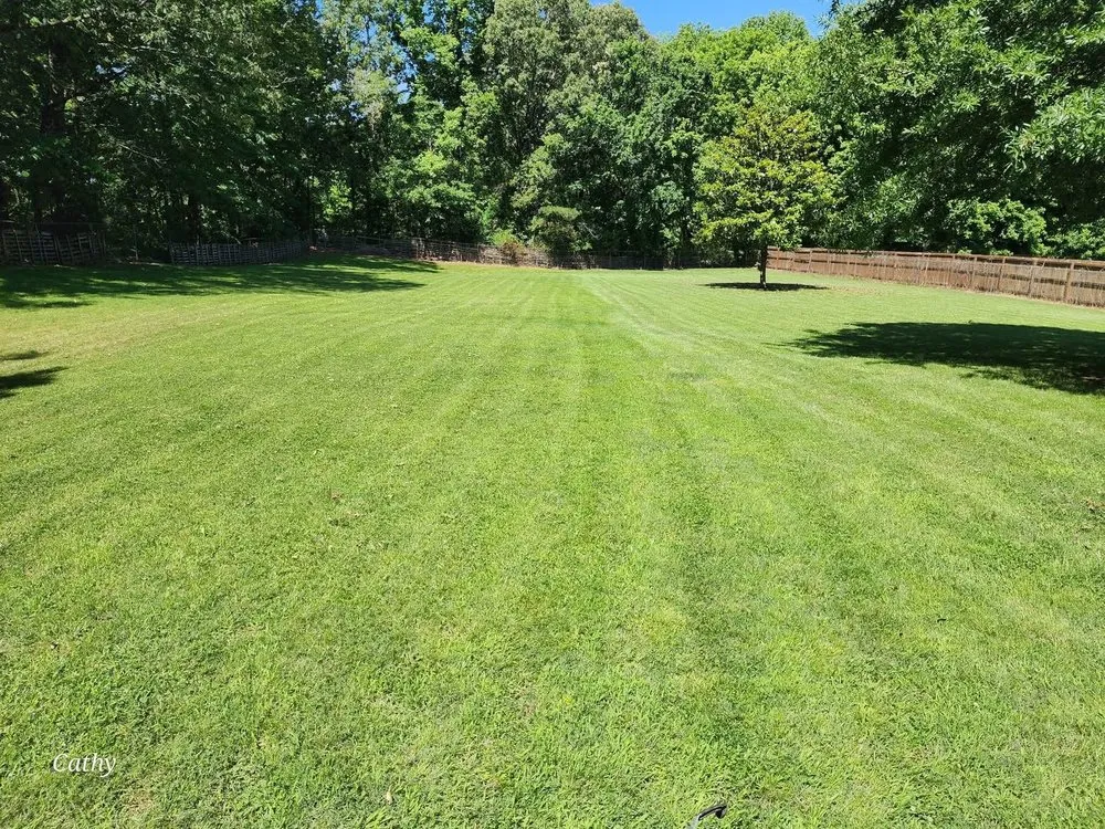 Trusted yard maintenance experts serving Collierville, TN - Southern Landscape