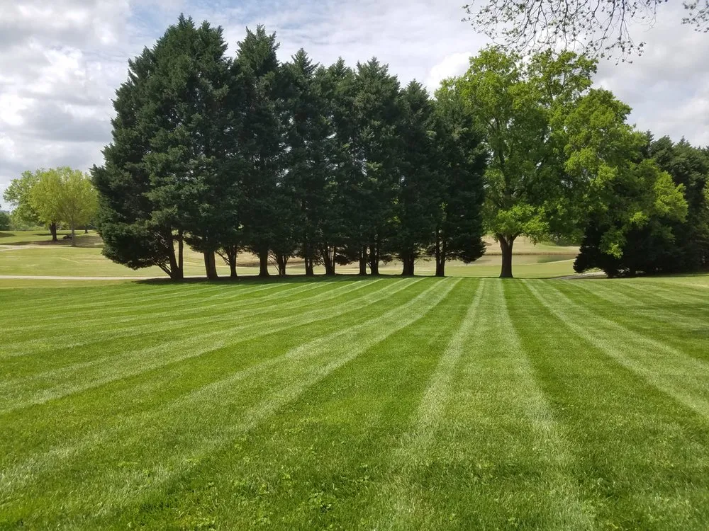 Professional landscaping services in Monroe, NC by Southern Landscape Company