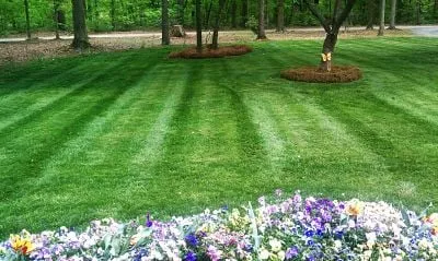 Top-rated garden landscaping with custom design across Monroe, NC - Southern Landscape Company